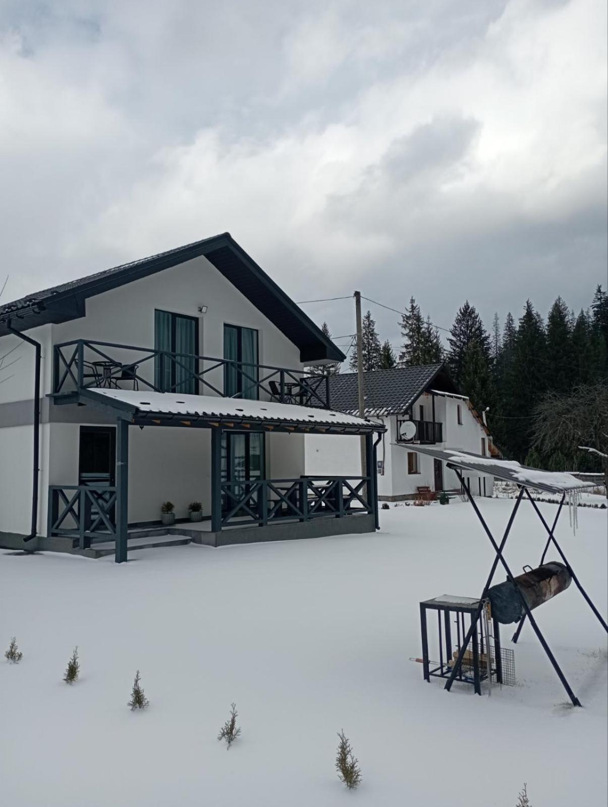 U Anastasii I Sofii Bilya Richki Konuk evi Mykulychyn Oda fotoğraf