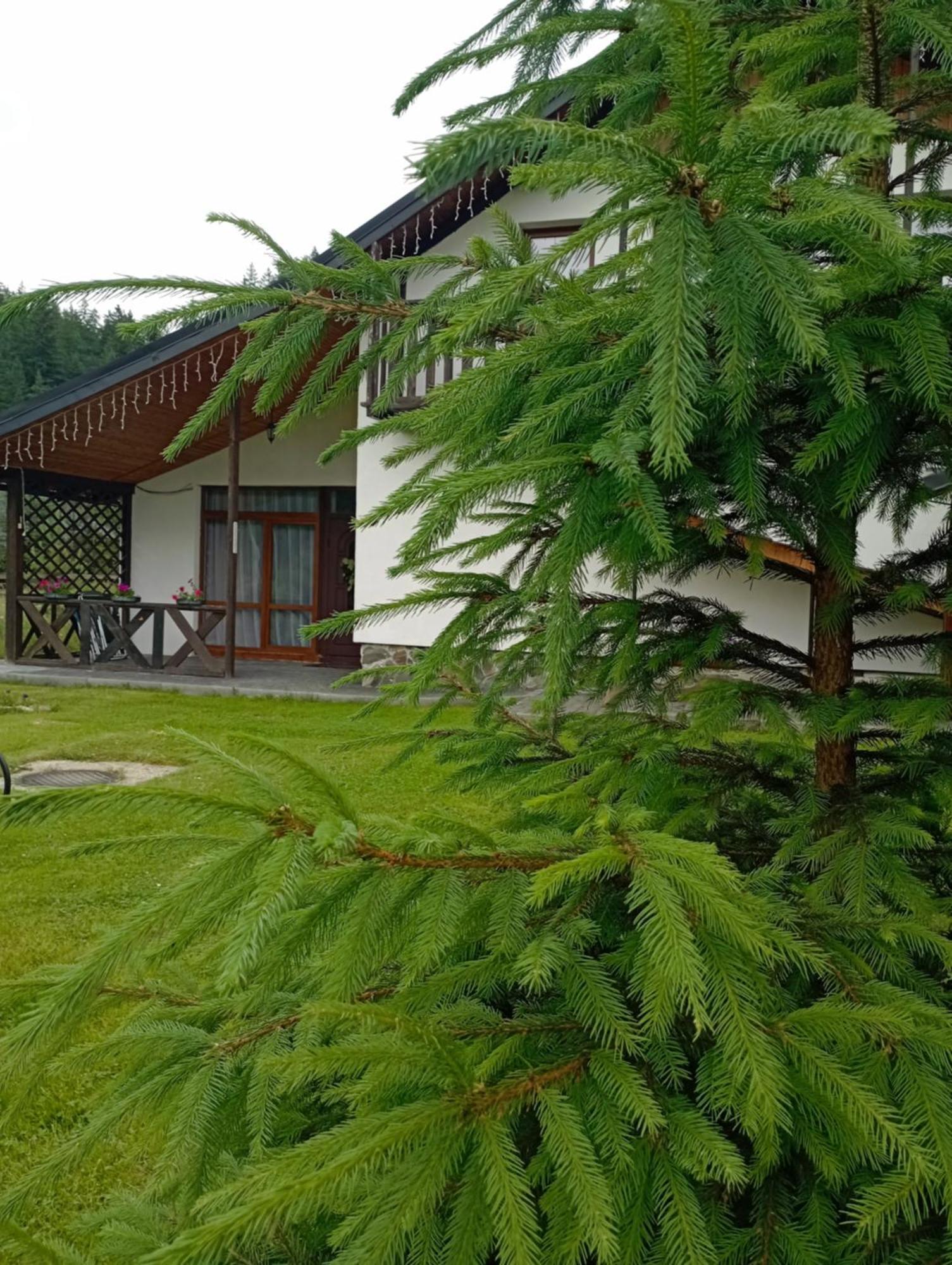 U Anastasii I Sofii Bilya Richki Konuk evi Mykulychyn Dış mekan fotoğraf