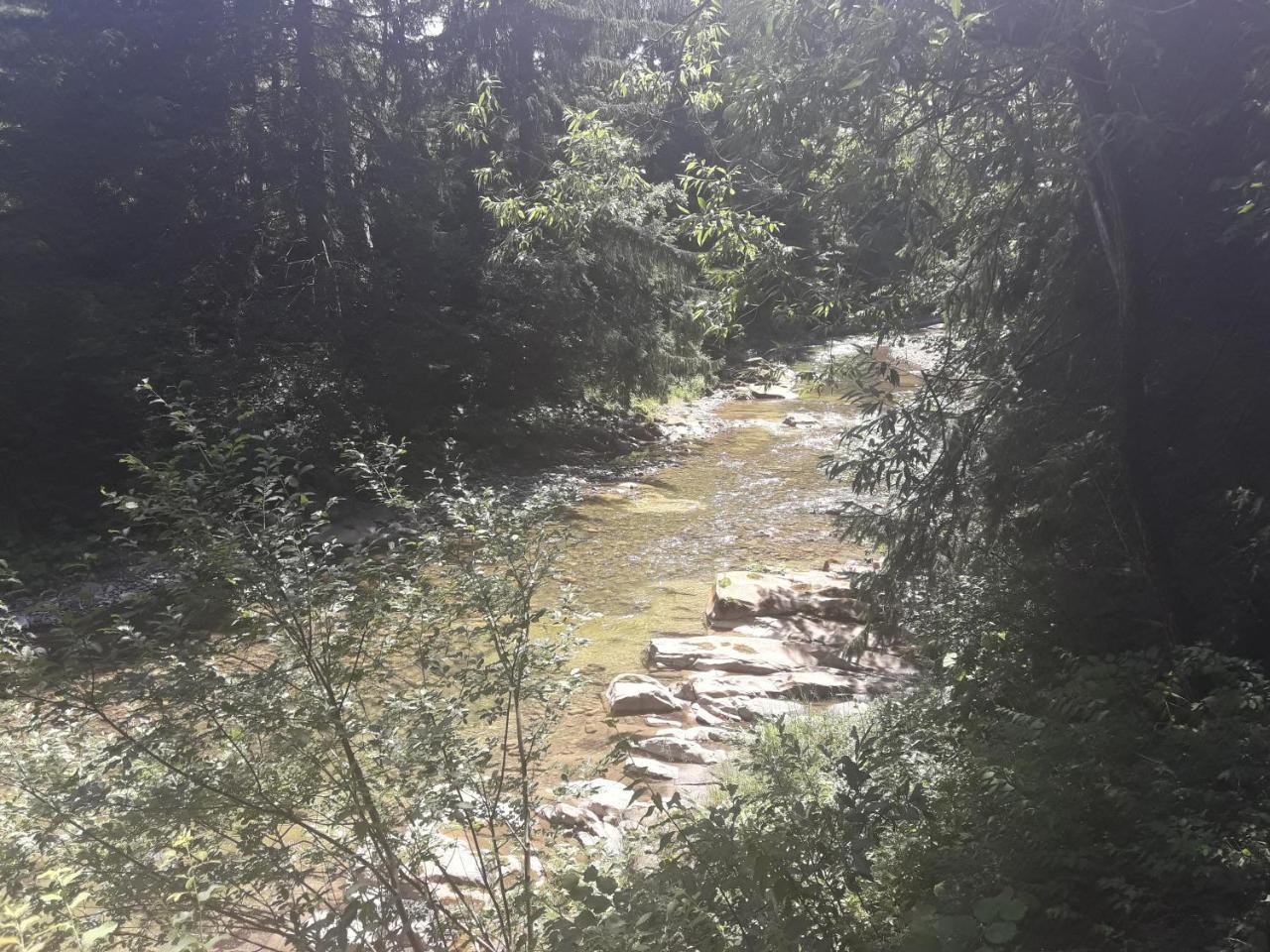 U Anastasii I Sofii Bilya Richki Konuk evi Mykulychyn Dış mekan fotoğraf