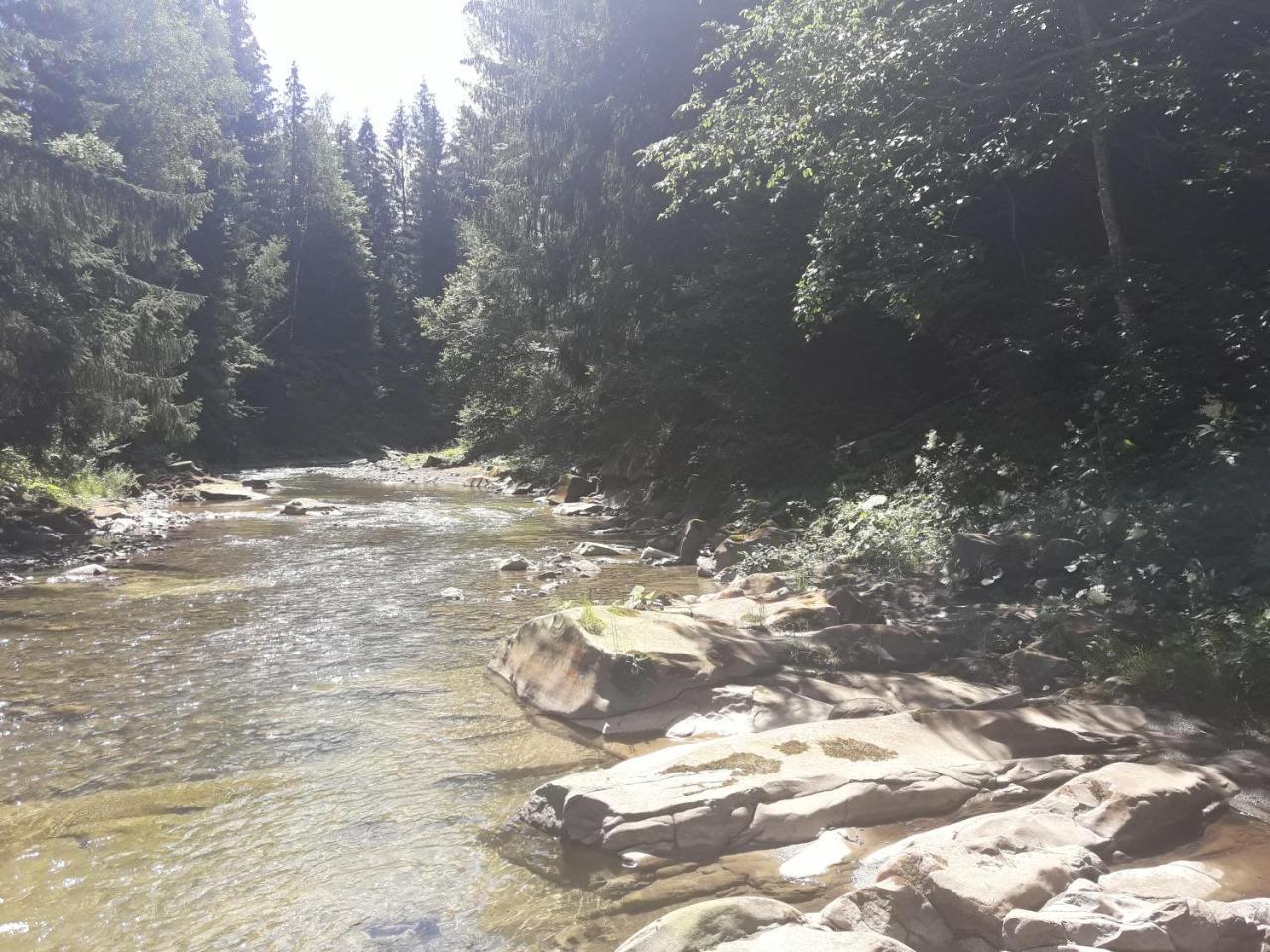 U Anastasii I Sofii Bilya Richki Konuk evi Mykulychyn Dış mekan fotoğraf