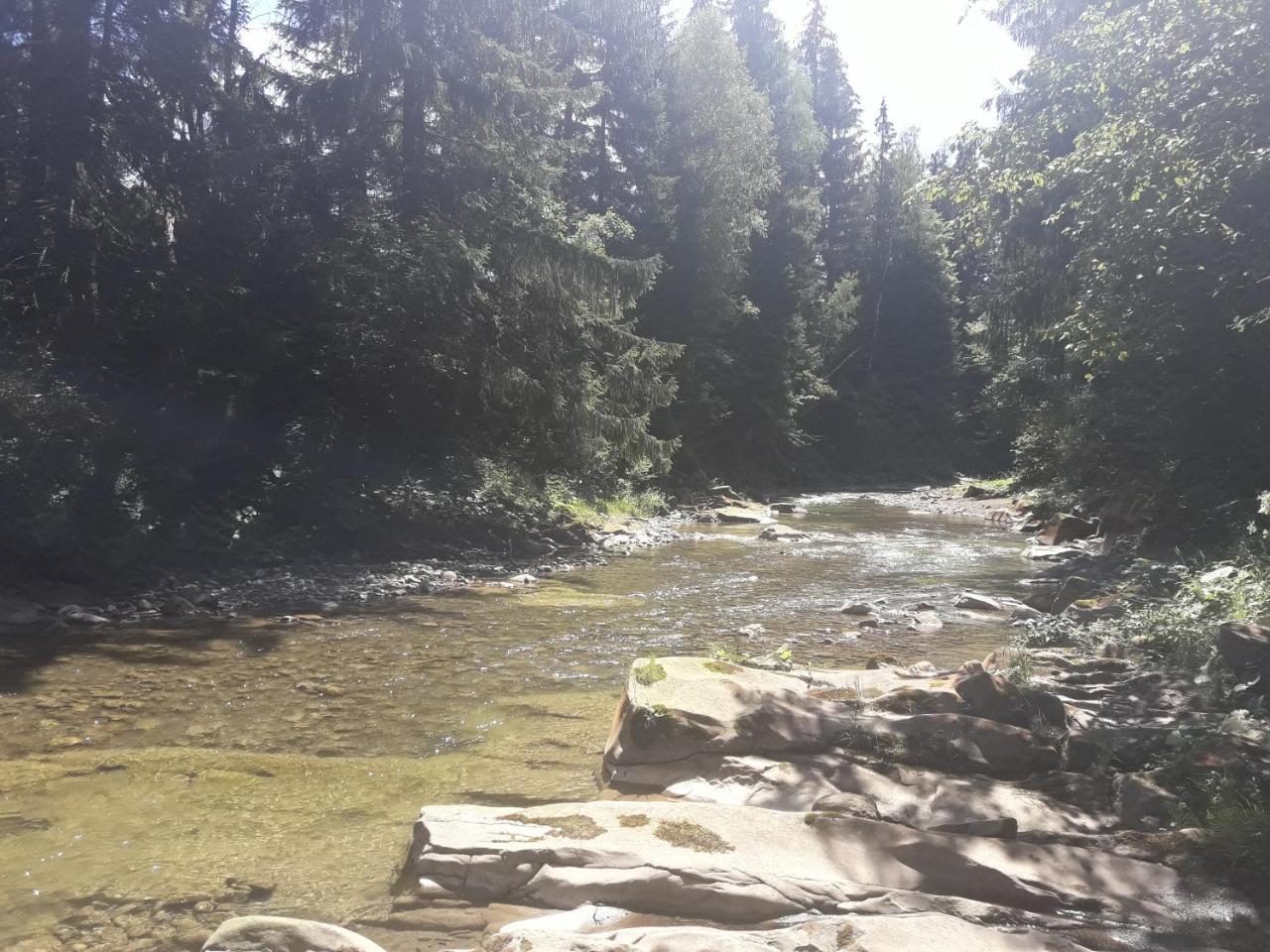U Anastasii I Sofii Bilya Richki Konuk evi Mykulychyn Dış mekan fotoğraf